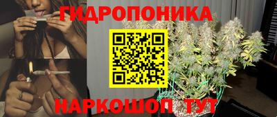 Альфа ПВП Тверь